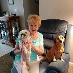 Meet your Posher, Ella